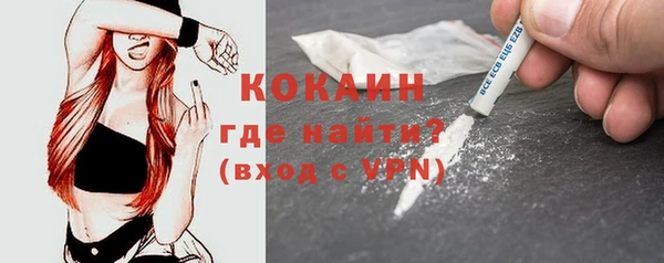 гашик Аркадак