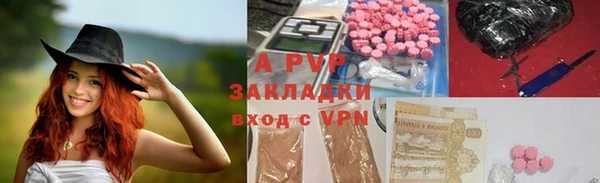 гашик Арсеньев
