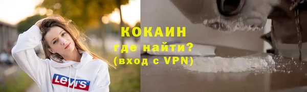 гашик Аркадак