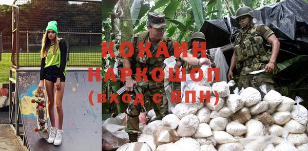 гашик Аркадак