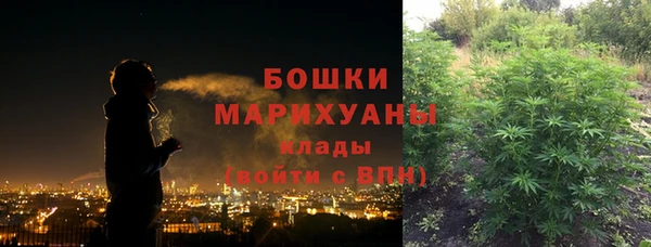 гашик Аркадак