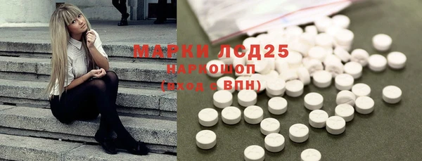 гашик Арсеньев